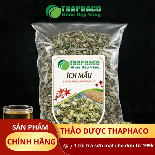 Hình ảnh cây Ích Mẫu tươi trước khi sấy khô tại THAPHACO