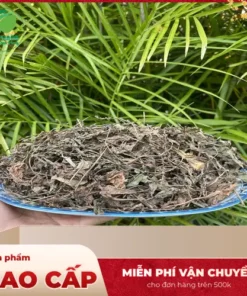 Địa chỉ bán Mã Đề Sấy Khô Uy Tín, Chất Lượng tại TP.HCM