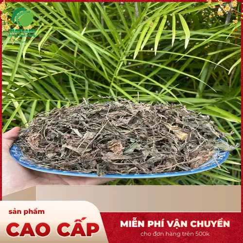 Mã Đề Sấy Khô THAPHACO