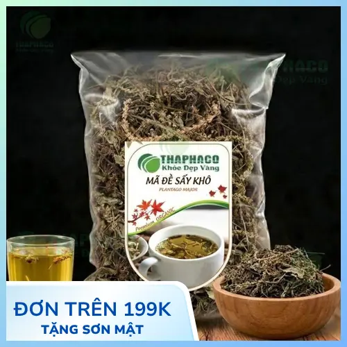 Lợi ích sức khỏe của mã đề
