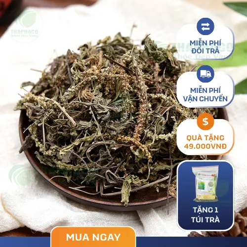 Trà mã đề thơm ngon, là thức uống lý tưởng để hỗ trợ giảm cân và thanh lọc cơ thể