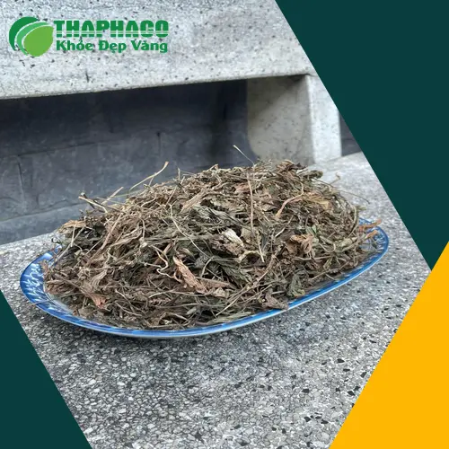 Cách dùng mã đề sấy khô