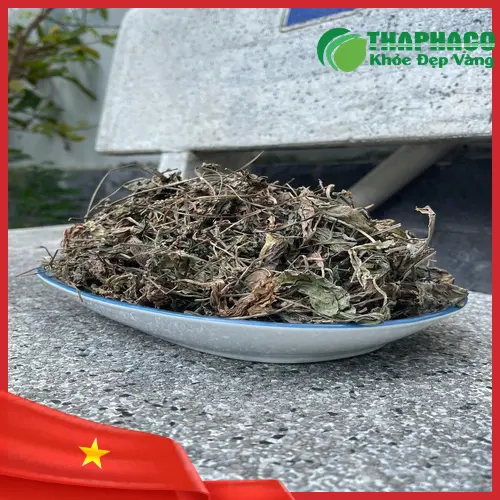 Bảo quản mã đề sấy khô