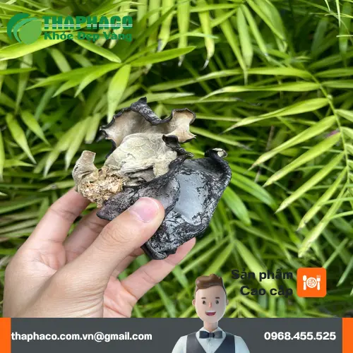 Quy trình đóng gói mộc nhĩ khô THAPHACO