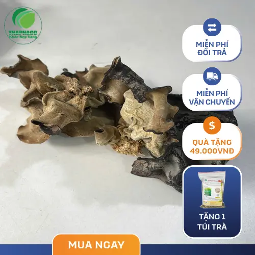 Ngâm mộc nhĩ khô đúng cách