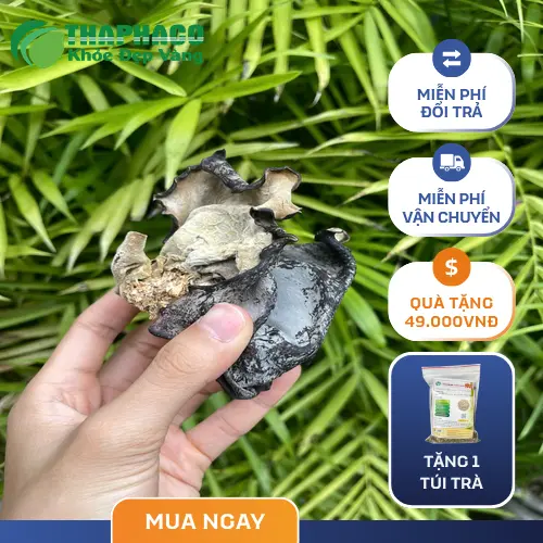 Cách sơ chế mộc nhĩ khô