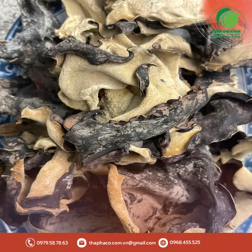 Lợi ích sức khỏe của mộc nhĩ