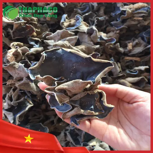 Luôn sơ chế và sử dụng mộc nhĩ đúng cách