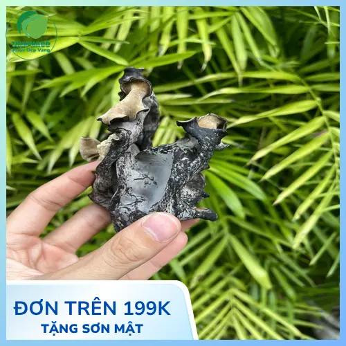 Mộc nhĩ khô chất lượng cao từ THAPHACO