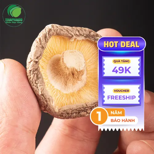 Nấm đông cô tươi và khô