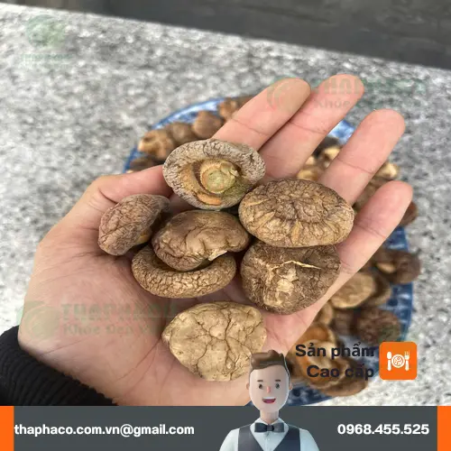 Bảo quản nấm đông cô khô đúng cách