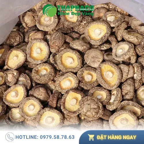Chọn mua nấm đông cô chất lượng tại THAPHACO