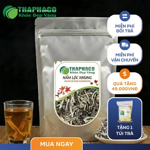 Nấm Lộc Nhung khô chất lượng tại THAPHACO