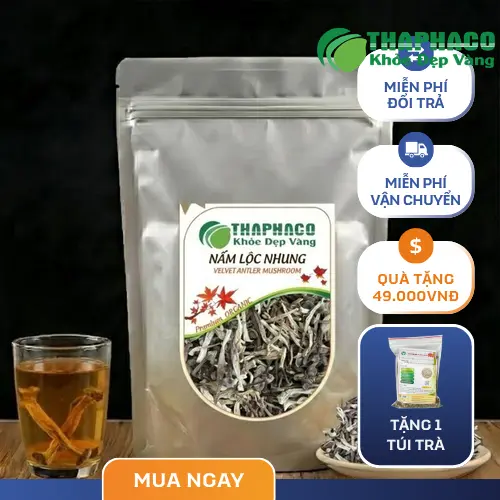 Nấm lộc nhung khô là gì và đặc điểm nhận biết