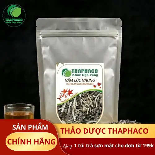 Hình ảnh nấm lộc nhung tươi