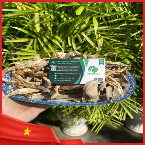 Công dụng hỗ trợ sức khỏe của nấm lộc nhung khô