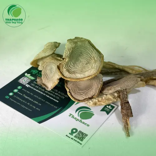 Đặc điểm nấm lộc nhung khô ngon