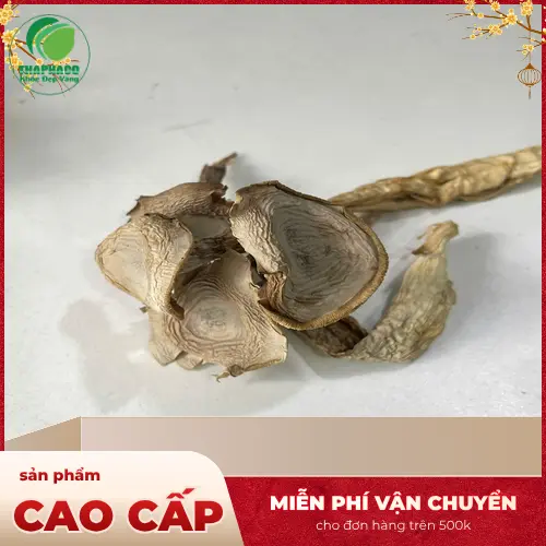 Nấm Lộc Nhung Sấy Khô THAPHACO đảm bảo chất lượng