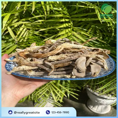 Hướng dẫn bảo quản nấm lộc nhung sấy khô đúng cách