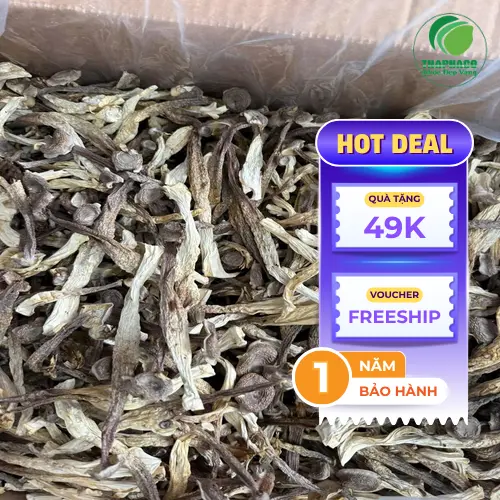 Công dụng hỗ trợ sức khỏe của Nấm Lộc Nhung