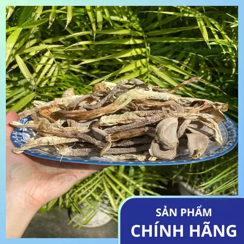 Nấm lộc nhung bị mốc
