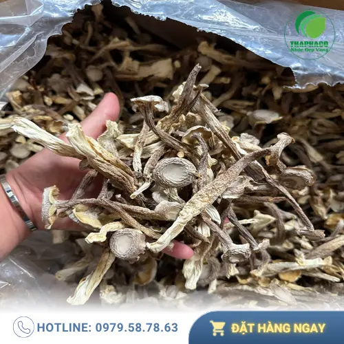 Bảng giá Nấm Lộc Nhung Khô THAPHACO theo quy cách