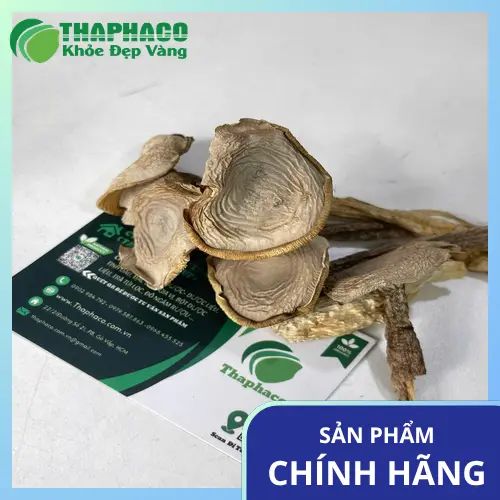 Địa chỉ mua Nấm Lộc Nhung Sấy Khô uy tín THAPHACO