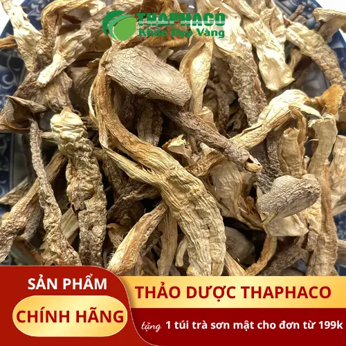 Sản phẩm nấm lộc nhung sấy khô chất lượng từ THAPHACO