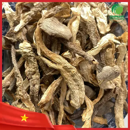 Sản phẩm nấm lộc nhung khô chất lượng tại THAPHACO