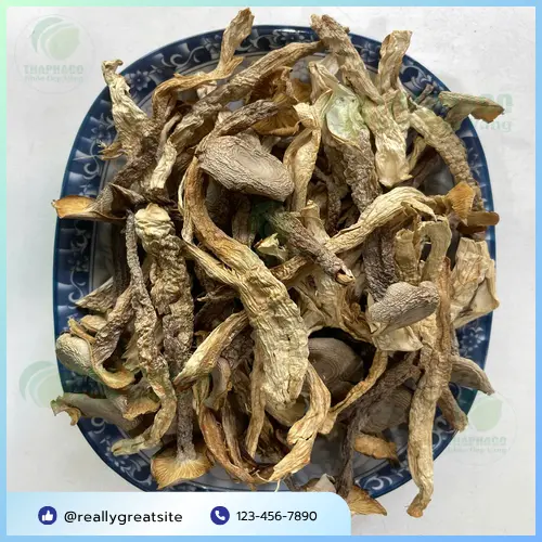 Các cách dùng nấm lộc nhung hiệu quả và an toàn