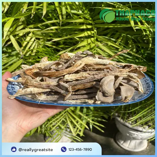 Nấm Lộc Nhung Kho Thịt Ba Chỉ