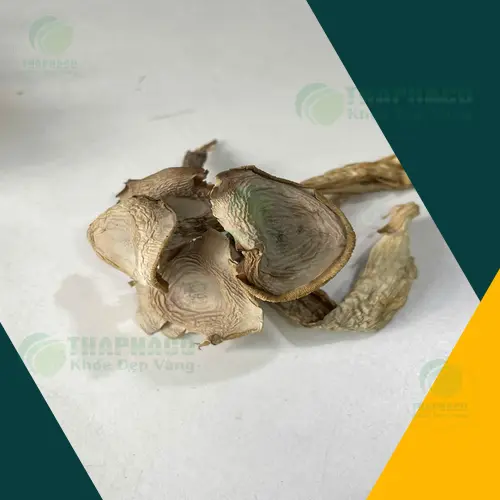 Nấm lộc nhung thành phẩm tại THAPHACO