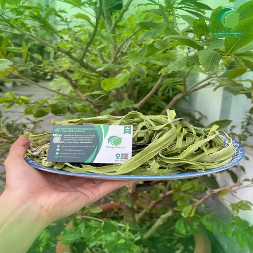 Sơ chế rau tiến vua khô đúng cách
