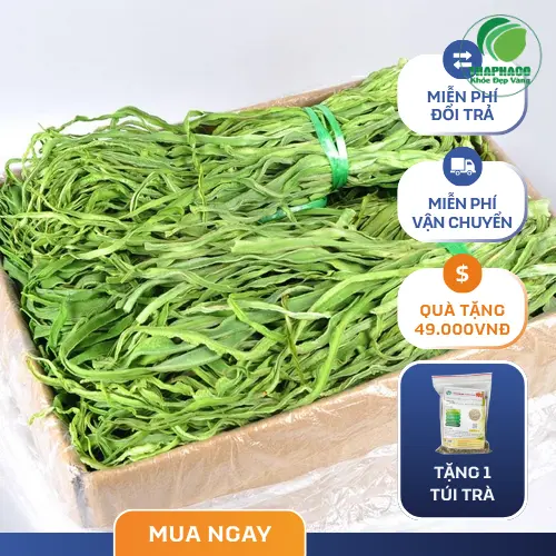 Các món ăn ngon từ Rau Tiến Vua
