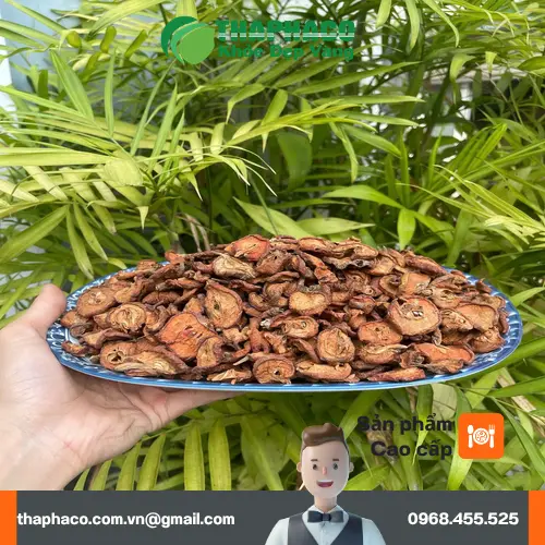 Táo mèo tươi và khô giúp giảm mỡ máu