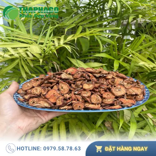 Công dụng đa dạng của táo mèo khô THAPHACO