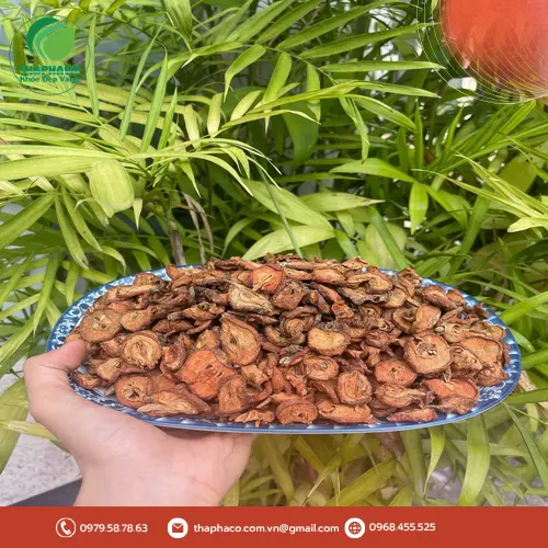 Sản phẩm táo mèo sấy khô của THAPHACO đóng gói tiện lợi