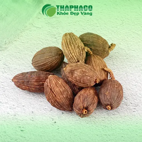 Thảo quả khô chất lượng tại Thảo Dược THAPHACO