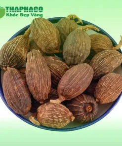 1kg Thảo Quả Sấy Khô Giá Bao Nhiêu Tiền 1kg? Cập Nhật 2024