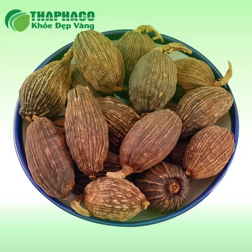 Thảo quả sấy khô chất lượng cao từ Thaphaco