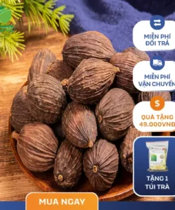 Chỗ bán thảo quả sấy khô tại TP.HCM: THAPHACO Uy tín, Chất lượng