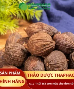 Thảo Quả Sấy Khô TP.HCM: Mua Ở Đâu Chất Lượng, Giá Tốt?