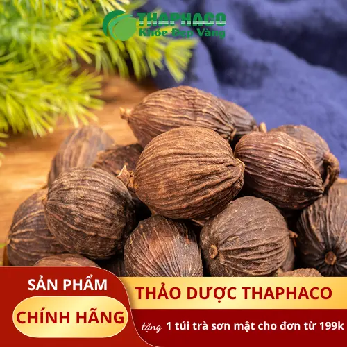 Thảo quả sấy khô chất lượng cao THAPHACO