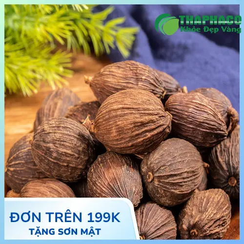 THAPHACO địa chỉ bán thảo quả sấy khô uy tín ở TP.HCM