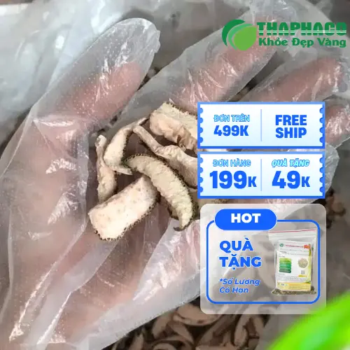 Vỏ bưởi khô nguyên chất từ Thảo Dược THAPHACO
