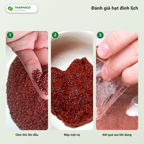 Review hạt đình lịch