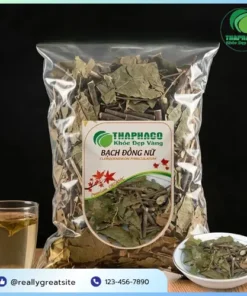 Địa Chỉ Mua Bán Bạch Đồng Nữ Khô Tại TP.HCM Uy Tín