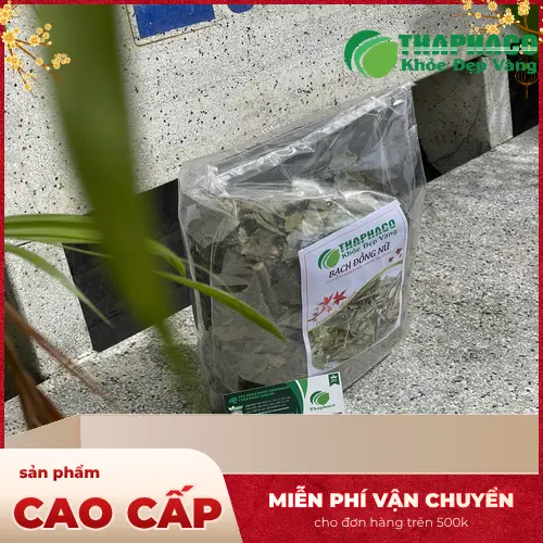 Lá và hoa cây Bạch Đồng Nữ