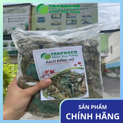 Tiêu chí chọn mua Bạch Đồng Nữ khô chất lượng