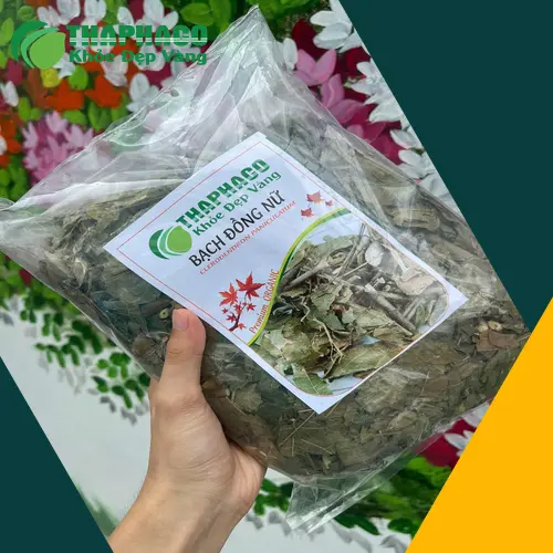 Hướng dẫn sử dụng Bạch Đồng Nữ khô